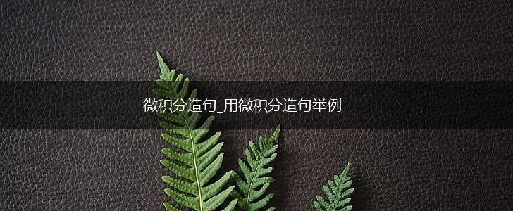 微积分造句_用微积分造句举例,第1张