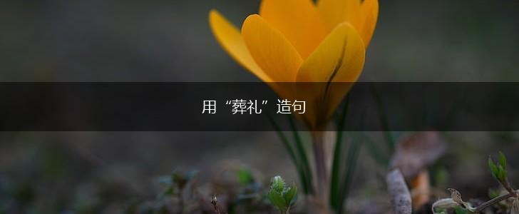 用“葬礼”造句,第1张