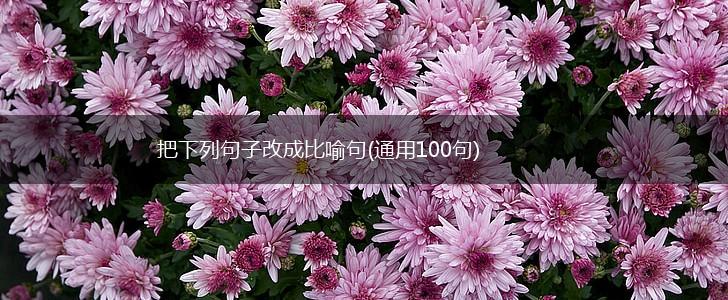 把下列句子改成比喻句(通用100句),第1张
