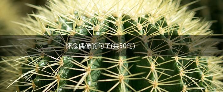 怀念偶像的句子(共50句),第1张