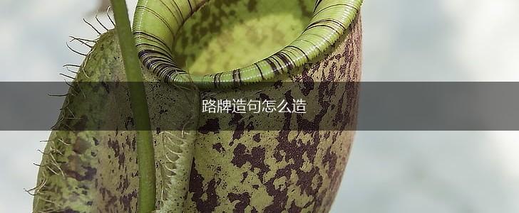 路牌造句怎么造,第1张