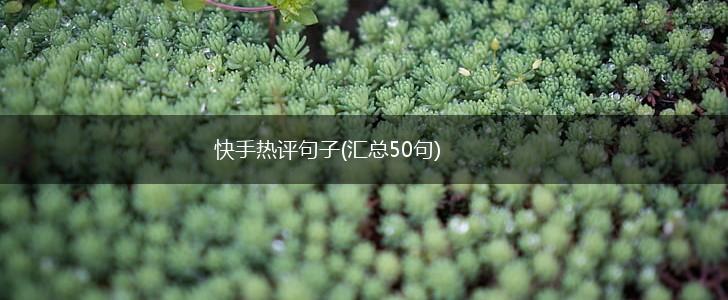 快手热评句子(汇总50句),第1张