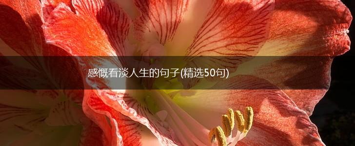 感慨看淡人生的句子(精选50句),第1张