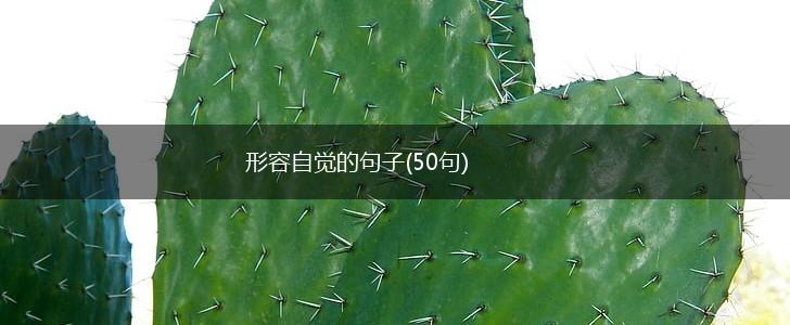 形容自觉的句子(50句),第1张