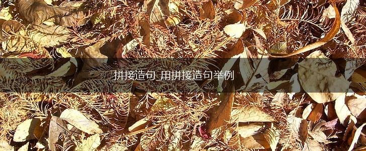 拼接造句_用拼接造句举例,第1张
