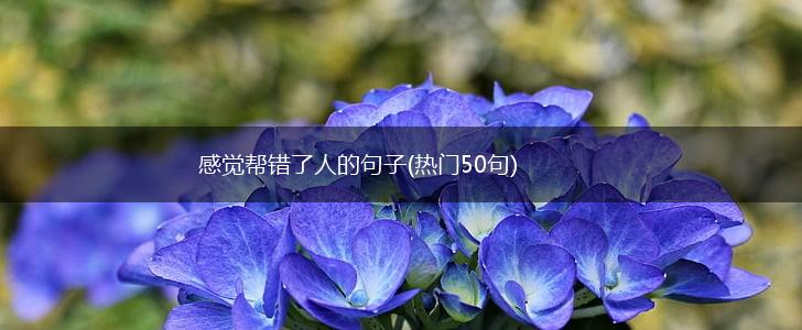 感觉帮错了人的句子(热门50句),第1张