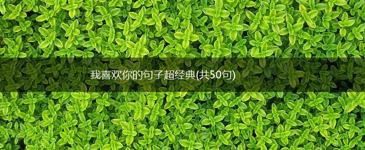 我喜欢你的句子超经典(共50句),第1张
