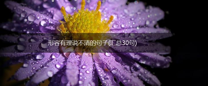 形容有理说不清的句子(汇总30句),第1张