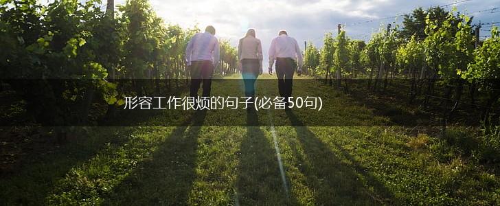 形容工作很烦的句子(必备50句),第1张