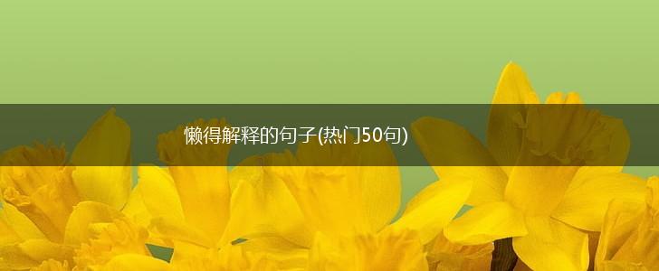 懒得解释的句子(热门50句),第1张
