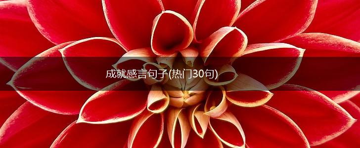 成就感言句子(热门30句),第1张