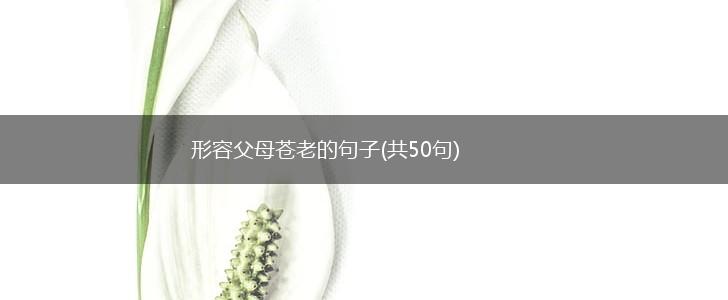 形容父母苍老的句子(共50句),第1张