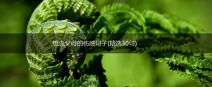 想念父母的伤感句子(精选30句),第1张