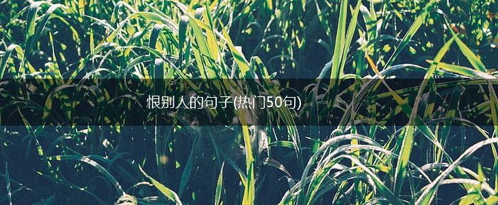 恨别人的句子(热门50句),第1张