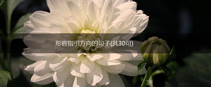 形容指引方向的句子(共30句),第1张