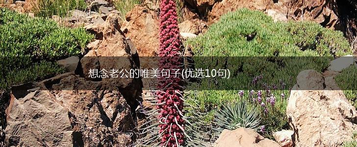 想念老公的唯美句子(优选10句),第1张