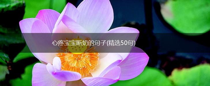 心疼宝宝断奶的句子(精选50句),第1张
