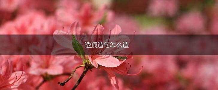 透顶造句怎么造,第1张