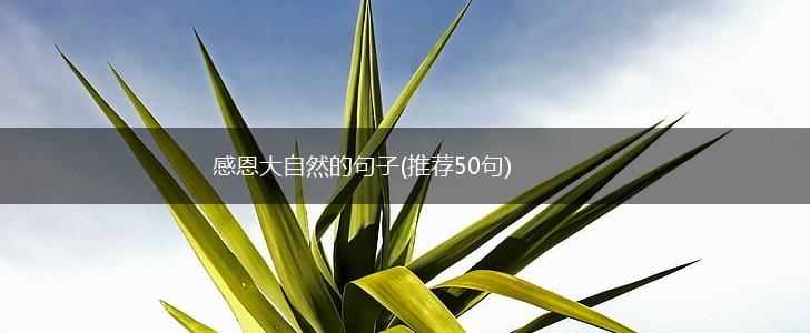 感恩大自然的句子(推荐50句),第1张