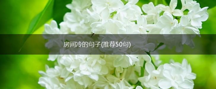 房间冷的句子(推荐50句),第1张