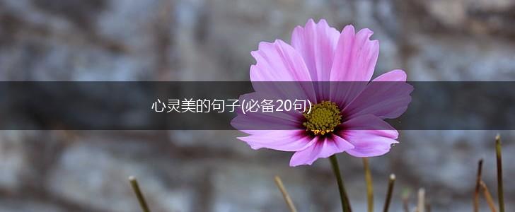 心灵美的句子(必备20句),第1张