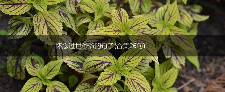 怀念过世爷爷的句子(合集26句),第1张