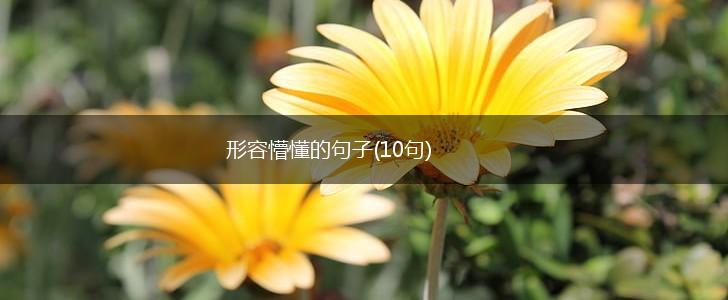 形容懵懂的句子(10句),第1张