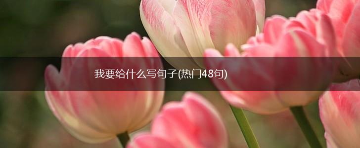 我要给什么写句子(热门48句),第1张