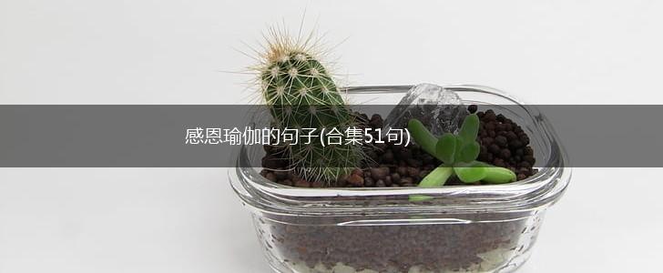感恩瑜伽的句子(合集51句),第1张