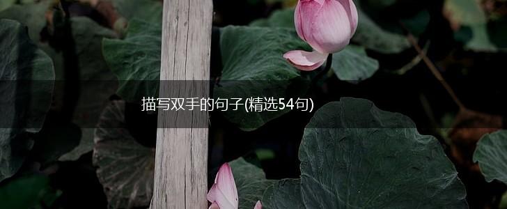 描写双手的句子(精选54句),第1张