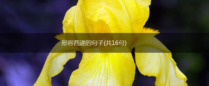 形容西递的句子(共16句),第1张