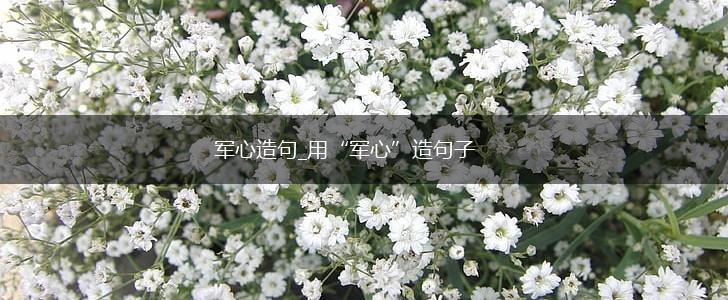 军心造句_用“军心”造句子,第1张