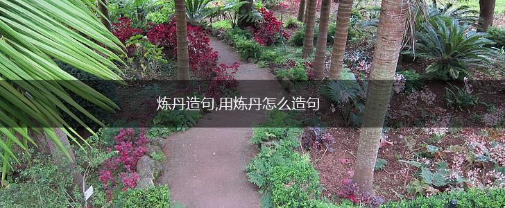 炼丹造句,用炼丹怎么造句,第1张