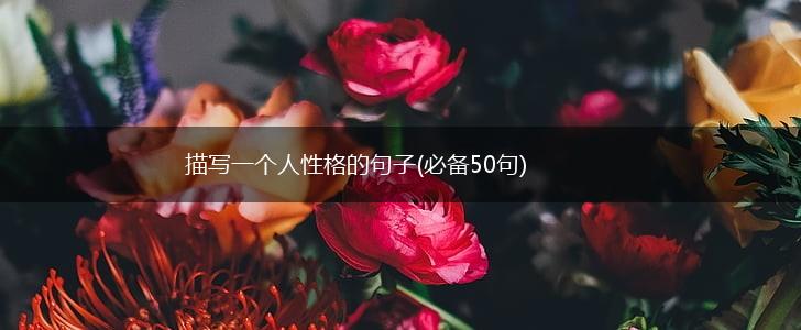 描写一个人性格的句子(必备50句),第1张