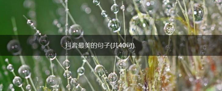 抖音最美的句子(共40句),第1张