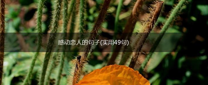 感动恋人的句子(实用49句),第1张