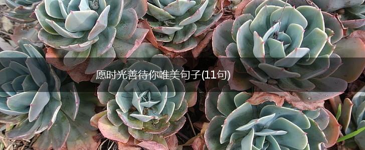愿时光善待你唯美句子(11句),第1张