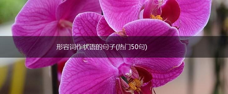 形容词作状语的句子(热门50句),第1张