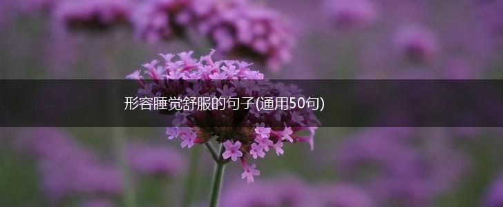 形容睡觉舒服的句子(通用50句),第1张