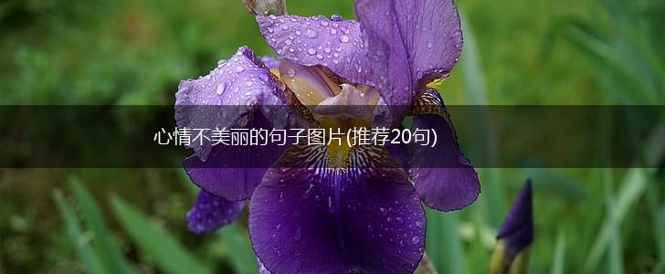 心情不美丽的句子图片(推荐20句),第1张