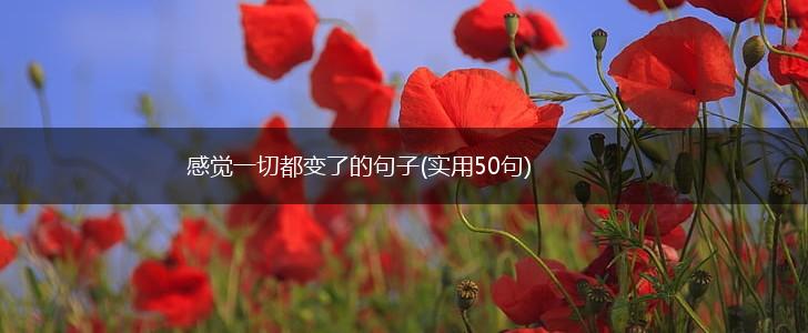感觉一切都变了的句子(实用50句),第1张