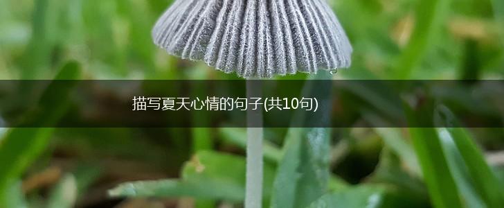 描写夏天心情的句子(共10句),第1张