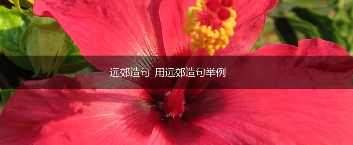 远郊造句_用远郊造句举例,第1张