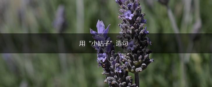 用“小姑子”造句,第1张