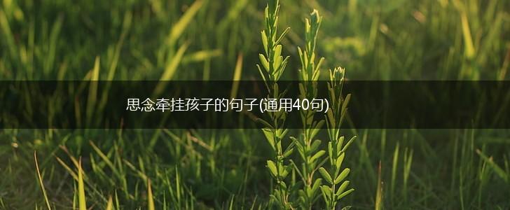 思念牵挂孩子的句子(通用40句),第1张