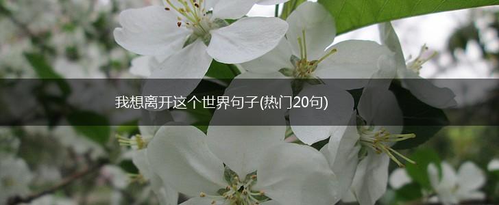 我想离开这个世界句子(热门20句),第1张