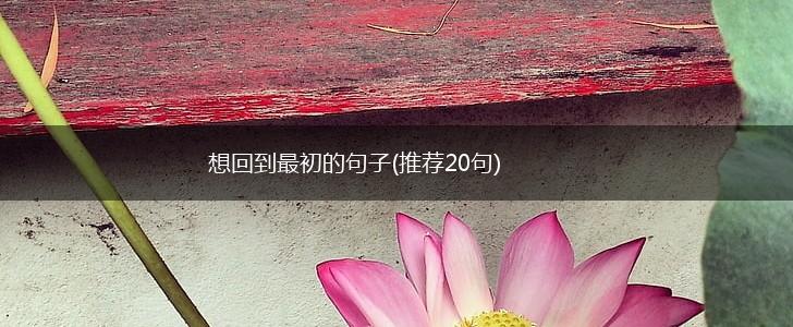 想回到最初的句子(推荐20句),第1张