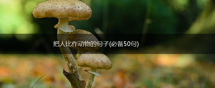 把人比作动物的句子(必备50句),第1张