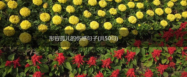 形容孤儿的伤感句子(共50句),第1张