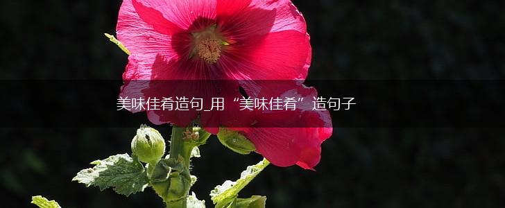 美味佳肴造句_用“美味佳肴”造句子,第1张